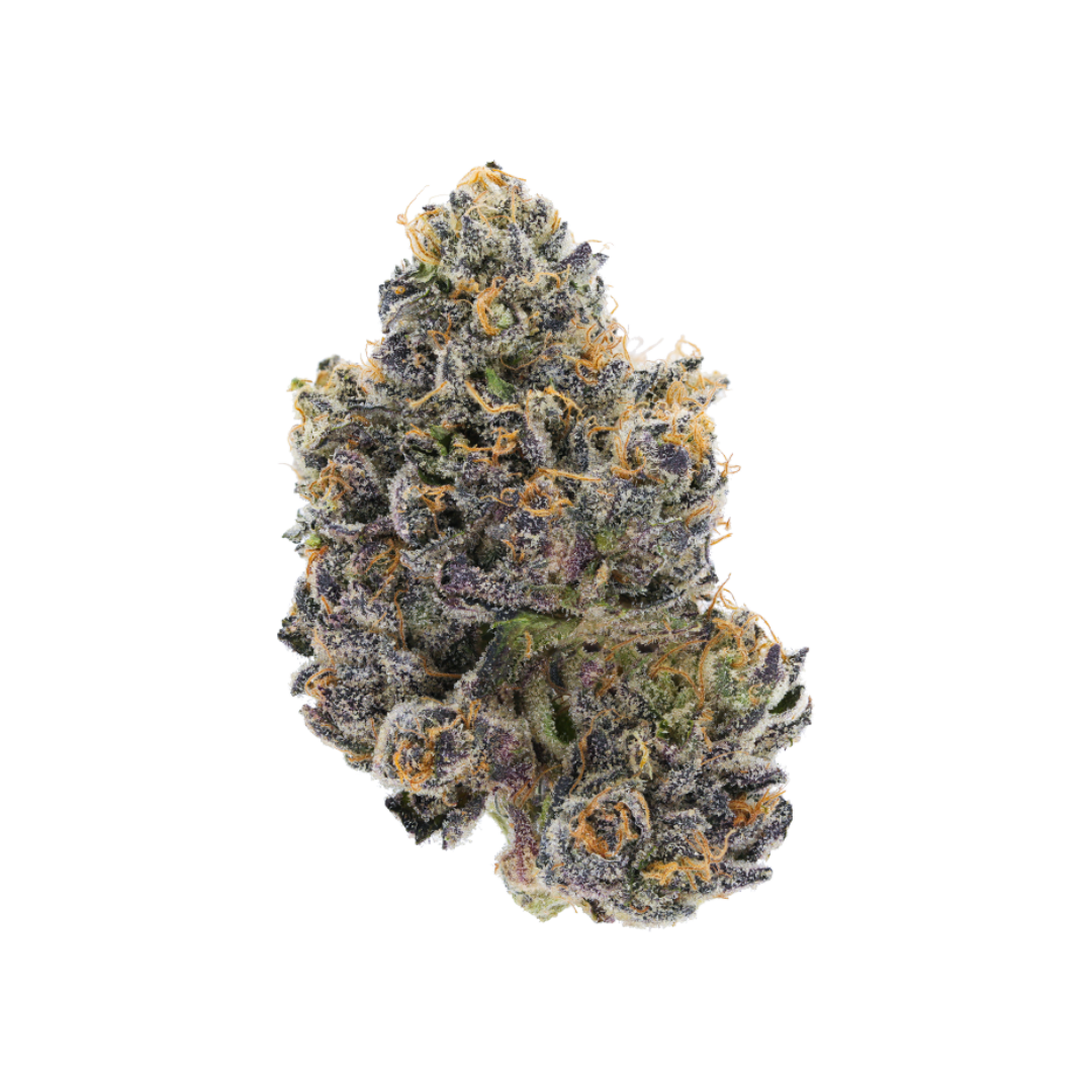 Jackson Heightz — 710 Labs